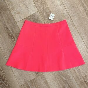 NWT J. Crew Skirt 6
